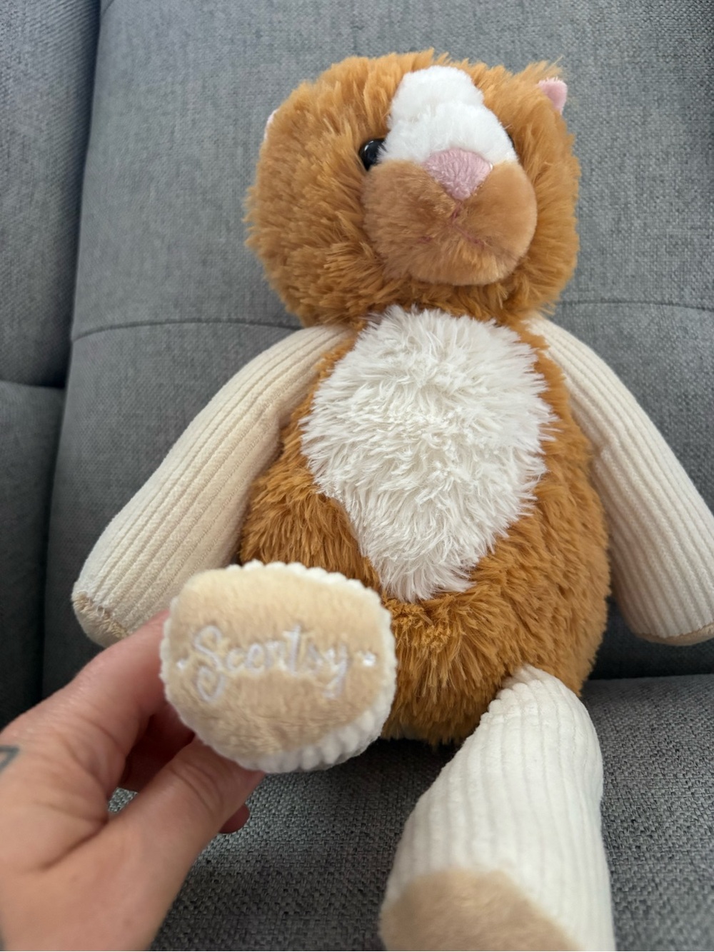 Scentsy Buddy Plush Cat "Scratch" with Scent Pak - Picture 2 of 8